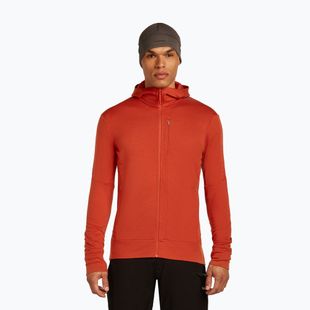 Pánska mikina Icebreaker Merino 260 Quantum IV Zip Hoodie agate