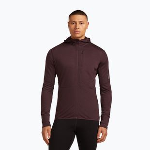 Pánska trekingová mikina Icebreaker Merino 200 RealFleece Descender Zip Hoodie java