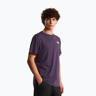 Pánske tričko The North Face Evolution Box NSE endless dusk