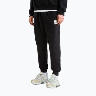 Pánske nohavice The North Face Evo Box Half Dome Regular Tappered tnf black