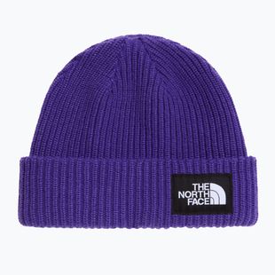 Zimná čiapka The North Face Salty Lined peak purple