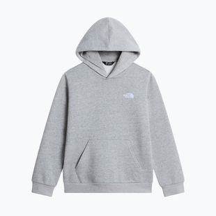 Detská mikina The North Face Evolution Simple Dome Pullover Hood tnf pale grey heather