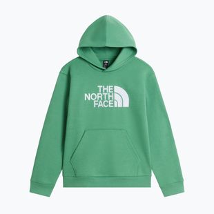 Detská mikina The Noryh Face Essential Drew Peak Hoodie dimmed algae