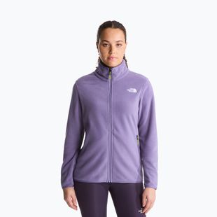 Pánska fleecová mikina The North Face Glacier Fleece grounded plum