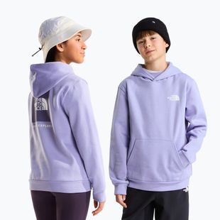 Detská mikina The North Face Evolution Box NSE Pullover Hoodies pale plum