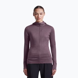 Dámska trekingová mikina Icebreaker Merino 200 Realfleece Descender Half Zip Hoodie grey plum