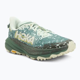 Pánske bežecké topánky HOKA Speedgoat 6 GTX sa glass/fern