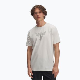 Men's training shirt Under Armour Project Rock Payoff Graphic stone/black