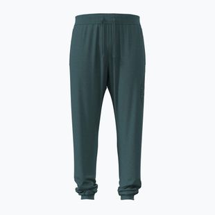 Pánske nohavice Under Armour Rival LW Graphic Jogger rack green/black