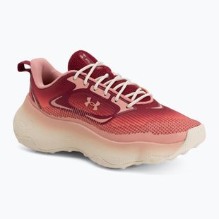 Dámske tréningové topánky Under Armour Pulse claret/posh pink/posh pink