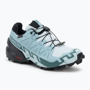 Dámske bežecké topánky Salomon Speedcross 6 GTX ballad blue/black/tourmaline