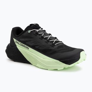 Pánske bežecké topánky Salomon Pulsar black/black/patina green