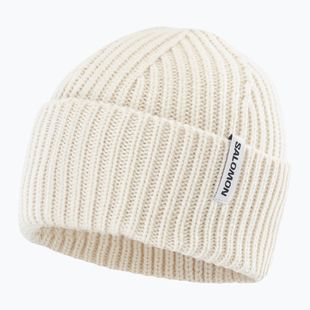 Zimná čiapka Salomon Snowbird whisper white