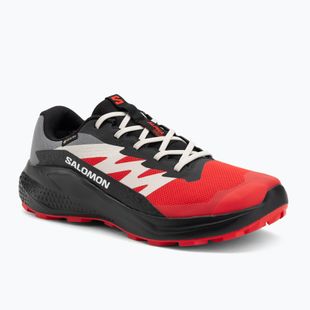 Buty do biegania meskie Salomon Alphaglide GTX flame scarlet/black/pewter
