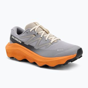 Pánske bežecké topánky Salomon Ultra Flow 2 GTX gull/turmeric/white pepper