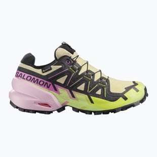 Dámske bežecké topánky Salomon Speedcross 6 GTX bog/dawn pink