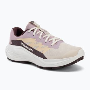 Dámske bežecké topánky Salomon Alphaglide tapioca/dawn pink