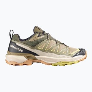 Pánske trekingové topánky Salomon X Ultra 360 Edge aloe/slate green