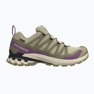 Dámske bežecké topánky Salomon XA Pro 3D V9 GTX bog/aloe