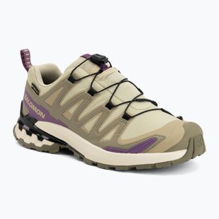 Dámske bežecké topánky Salomon XA Pro 3D V9 GTX bog/aloe