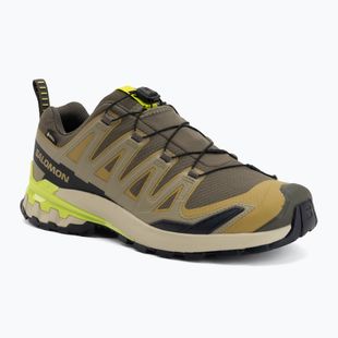 Pánske bežecké topánky Salomon XA Pro 3D V9 GTX grape leaf/aloe