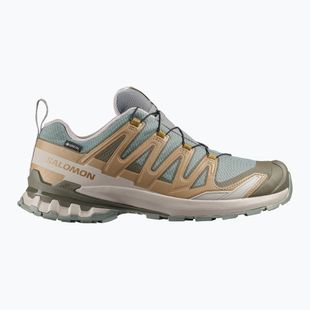Pánske bežecké topánky Salomon XA Pro 3D V9 GTX sedona sage/brilliant olive