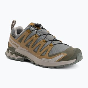 Pánske bežecké topánky Salomon XA Pro 3D V9 GTX sedona sage/brilliant olive