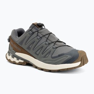Pánske bežecké topánky Salomon XA Pro 3D V9 GTX Lifelong sedona sage/coyote brown
