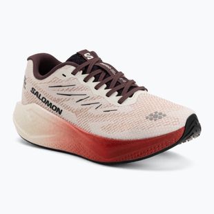 Dámske bežecké topánky Salomon Aero Blaze 4 vanilla ice/huckleberry