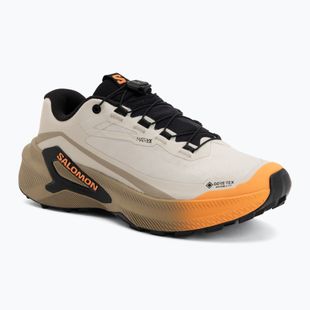 Dámske bežecké topánky Salomon Genesis 2 GTX rainy day/desert tan