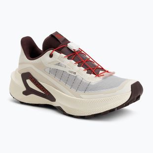 Dámske bežecké topánky Salomon Genesis 2 vanilla ice/huckleberry