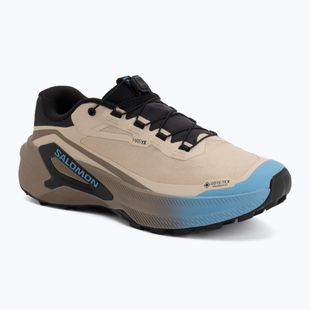 Pánske bežecké topánky Salomon Genesis 2 GTX oxford tan/walnut