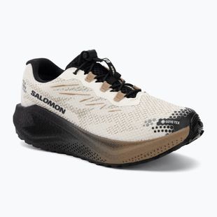 Dámske bežecké topánky Salomon Aero Blaze 4 GRVL GTX vanilla ice/black