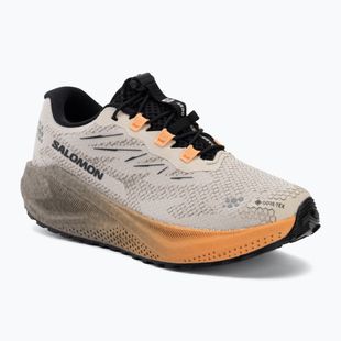 Dámske bežecké topánky Salomon Aero Blaze 4 GRVL GTX rainy day/black