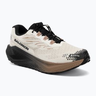 Pánske bežecké topánky Salomon Aero Blaze 4 GRVL GTX vanilla ice/black