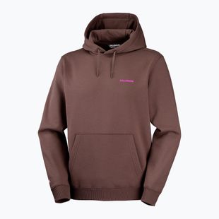 Pánska bežecká mikina Salomon Shortney Hoodie shopping bag