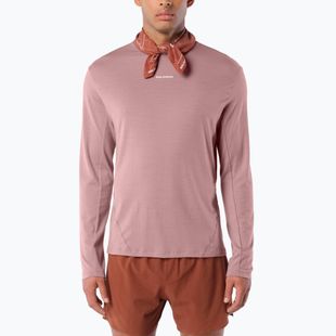 Pánske bežecké tričko longsleeve Salomon Sense Merino Tee LS antler