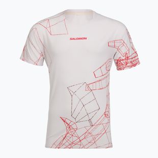 Pánske bežecké tričko Salomon S\Lab Speed Tee SS lilac ash