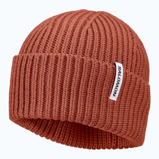 Zimná čiapka Salomon Snowbird burnt umber