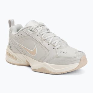 Pánske tréningové topánky Nike Air Monarch IV light bone/spruce aura/sanddrift