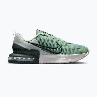 Pánska tréningová obuv Nike Air Max Alpha Trainer 6 steam/spruce aura/off white/black spruce