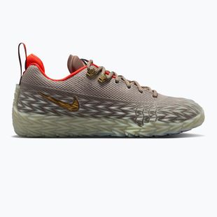 Pánske basketbalové topánky Nike S.T. Flare 2 college grey/volt tint/metallic gold
