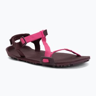 Dámske barefoot sandále Xero Shoes Z-Trail EV fuchsia purple