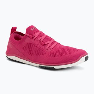 Dámske barefoot topánky Xero Shoes Nexus Knit fuchsia purple