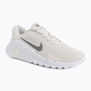 Pánske tréningové topánky Nike Flex Train phantom/white/sail/pencil point