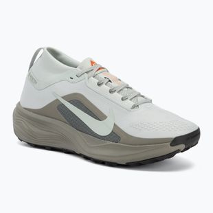 Pánske bežecké topánky Nike ACG Pegasus Trail GORE-TEX Light Silver/Light Army/Light Silver