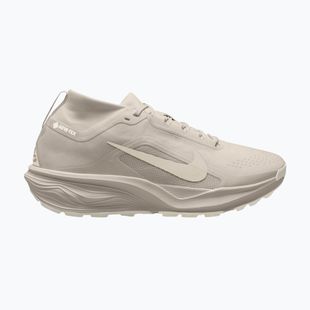 Pánske bežecké topánky Nike ACG Pegasus Trail GORE-TEX Cream Ii/Light Orewood Brown