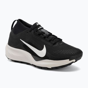 Pánske bežecké topánky Nike ACG Pegasus Trail GORE-TEX Black/Light Orewood Brown/Summit White