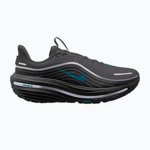 Pánske bežecké topánky Nike Winflo 12 GORE-TEX anthracite/black/bright spruce