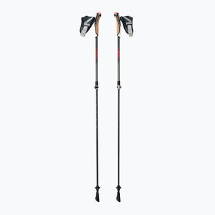 Palice na nordic walking LEKI Instructor Lite čierno-strieborné 65326341